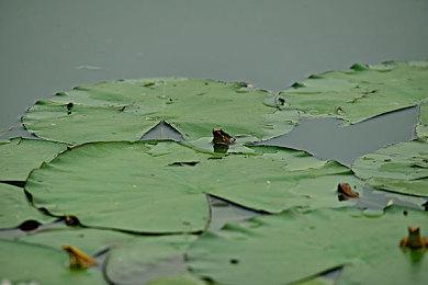 《永恒之夜》主机版上市宣传片 现已登陆全平台